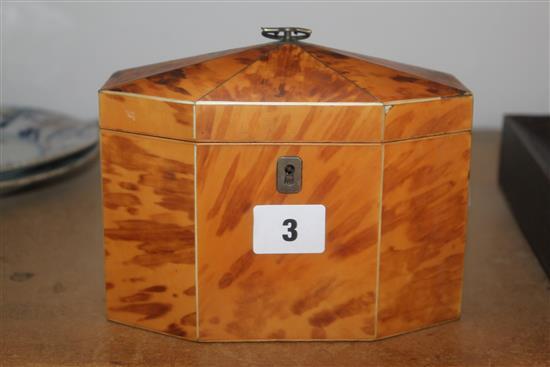 19th century tortoiseshell tea caddy